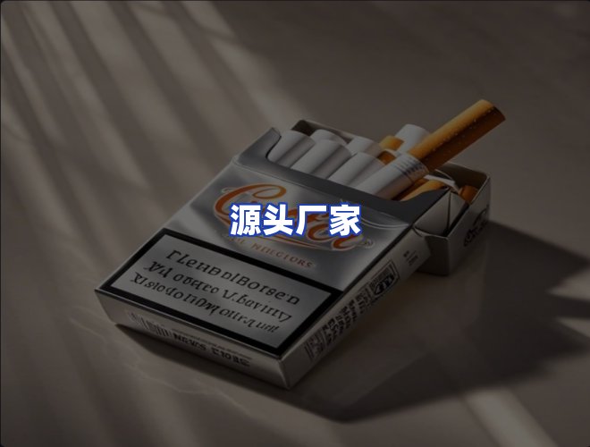 专业团队